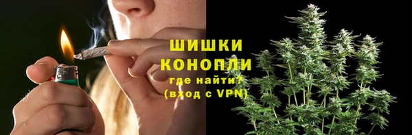 твердый Лиски