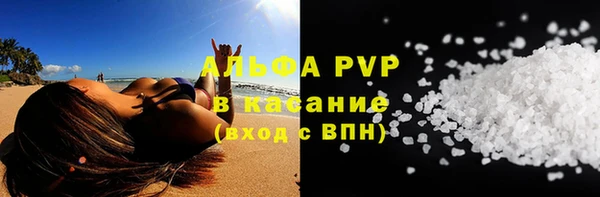 стаф Магадан