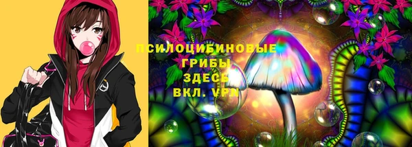 стаф Магадан